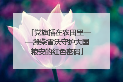党旗插在农田里——潍柴雷沃守护大国粮安的红色密码