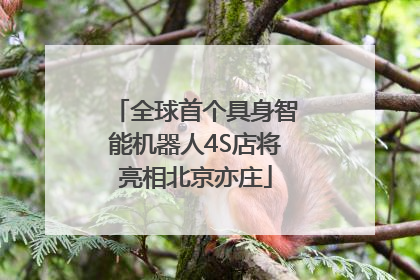 全球首个具身智能机器人4S店将亮相北京亦庄