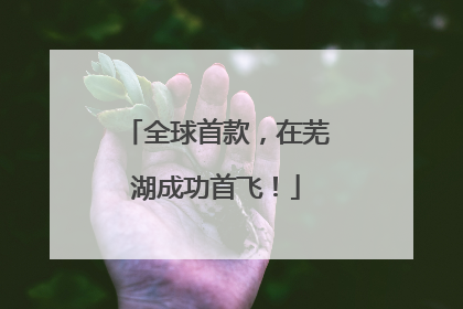 全球首款，在芜湖成功首飞！