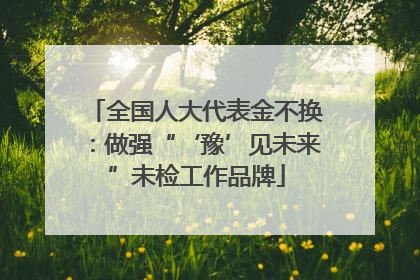 全国人大代表金不换：做强“‘豫’见未来”未检工作品牌