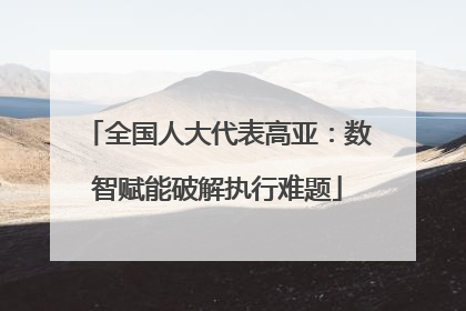 全国人大代表高亚：数智赋能破解执行难题