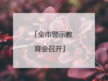 全市警示教育会召开