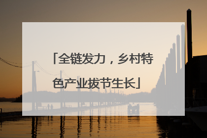 全链发力，乡村特色产业拔节生长