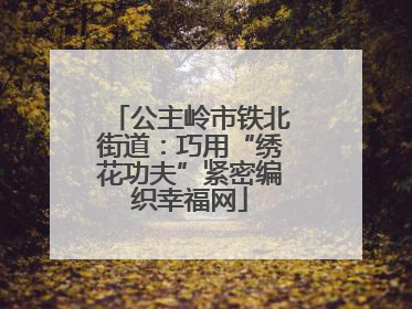 公主岭市铁北街道：巧用“绣花功夫”紧密编织幸福网