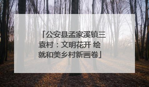 公安县孟家溪镇三袁村：文明花开 绘就和美乡村新画卷