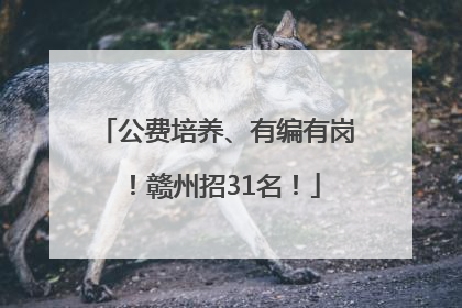公费培养、有编有岗！赣州招31名！