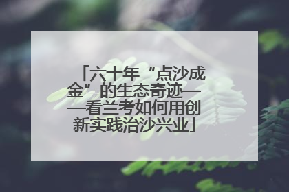 六十年“点沙成金”的生态奇迹——看兰考如何用创新实践治沙兴业
