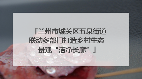 兰州市城关区五泉街道联动多部门打造乡村生态景观“洁净长廊”