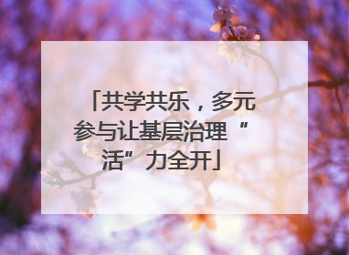 共学共乐，多元参与让基层治理“活”力全开