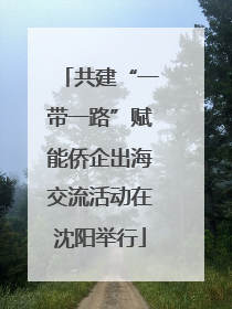 共建“一带一路”赋能侨企出海交流活动在沈阳举行