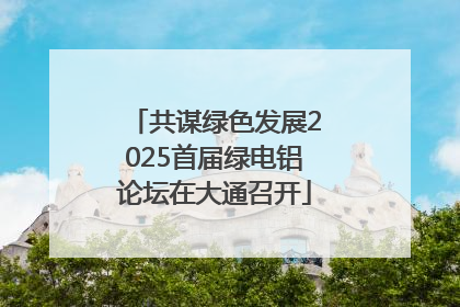 共谋绿色发展2025首届绿电铝论坛在大通召开