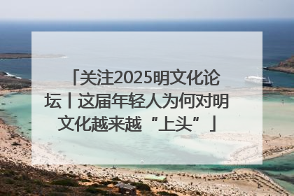 关注2025明文化论坛丨这届年轻人为何对明文化越来越“上头”