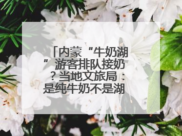内蒙“牛奶湖”游客排队接奶？当地文旅局：是纯牛奶不是湖水，可放心喝