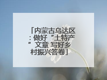 内蒙古乌达区：做好“土特产”文章 写好乡村振兴答卷