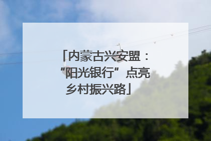 内蒙古兴安盟：“阳光银行”点亮乡村振兴路