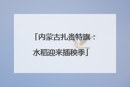 内蒙古扎赉特旗：水稻迎来插秧季