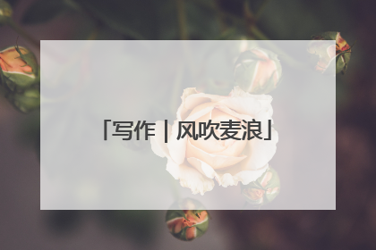 写作｜风吹麦浪
