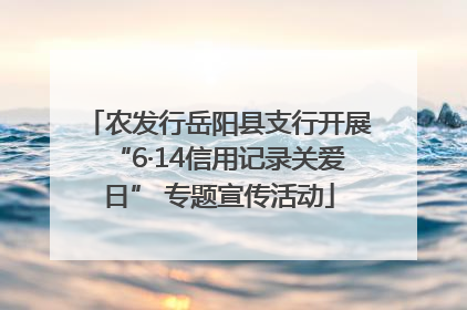 农发行岳阳县支行开展“6·14信用记录关爱日” 专题宣传活动