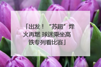 出发！“苏超”烽火再燃 球迷乘坐高铁专列看比赛