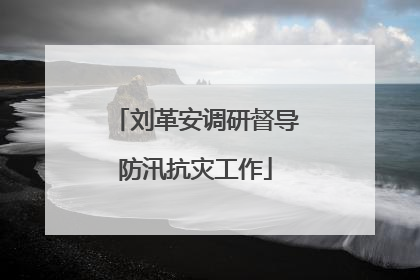 刘革安调研督导防汛抗灾工作