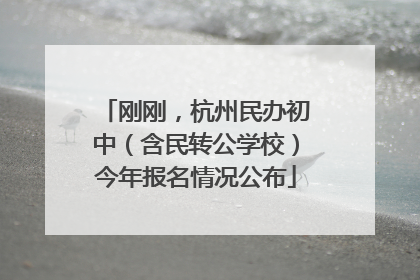 刚刚，杭州民办初中（含民转公学校）今年报名情况公布