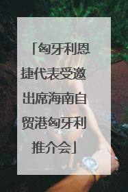 匈牙利恩捷代表受邀出席海南自贸港匈牙利推介会