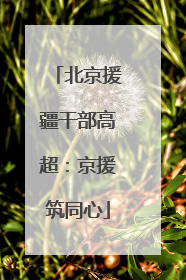 北京援疆干部高超：京援筑同心