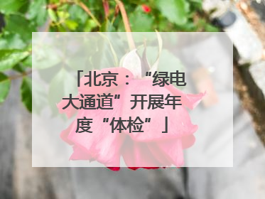 北京：“绿电大通道”开展年度“体检”