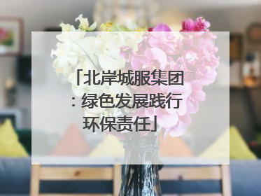 北岸城服集团：绿色发展践行环保责任