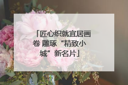 匠心织就宜居画卷 雕琢“精致小城”新名片
