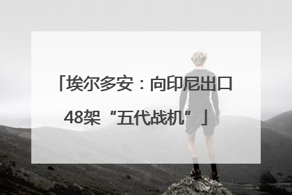 埃尔多安：向印尼出口48架“五代战机”
