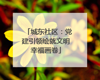 城东社区：党建引领绘就文明幸福画卷
