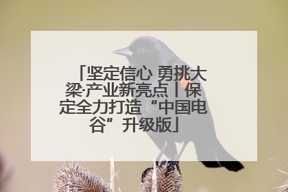 坚定信心 勇挑大梁·产业新亮点丨保定全力打造“中国电谷”升级版