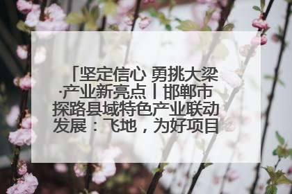 坚定信心 勇挑大梁·产业新亮点丨邯郸市探路县域特色产业联动发展：飞地，为好项目跨域安个家
