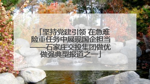 坚持党建引领 在急难险重任务中展现国企担当——石家庄交投集团做优做强典型报道之一