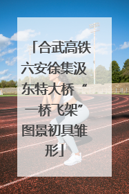 合武高铁六安徐集汲东特大桥“一桥飞架”图景初具雏形