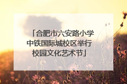 合肥市六安路小学中铁国际城校区举行校园文化艺术节