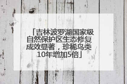 吉林波罗湖国家级自然保护区生态修复成效显著，珍稀鸟类10年增加5倍