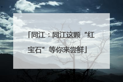 同江：同江这颗“红宝石”等你来尝鲜