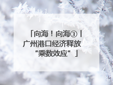 向海！向海③丨广州港口经济释放“乘数效应”