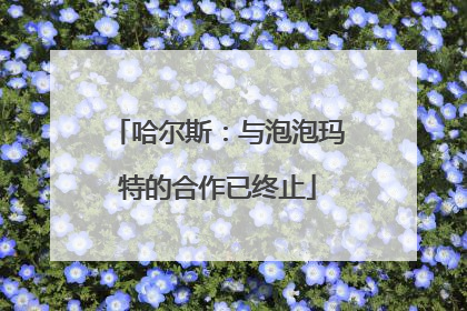 哈尔斯：与泡泡玛特的合作已终止
