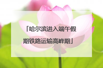 哈尔滨进入端午假期铁路运输高峰期