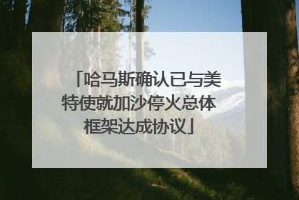 哈马斯确认已与美特使就加沙停火总体框架达成协议