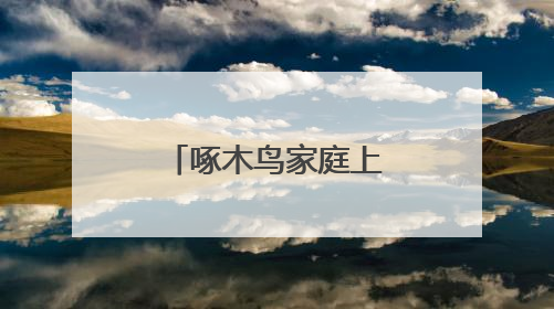 啄木鸟家庭上门维修在规范化中寻找突破