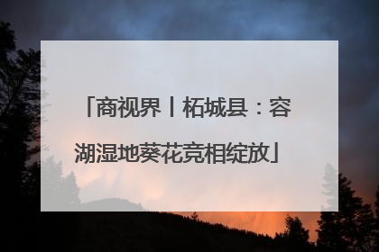 商视界丨柘城县：容湖湿地葵花竞相绽放