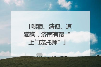 喂粮、清便、逗猫狗，济南有帮“上门宠托师”