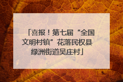 喜报！第七届“全国文明村镇”花落民权县绿洲街道吴庄村