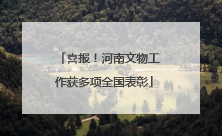 喜报！河南文物工作获多项全国表彰