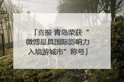 喜报 青岛荣获“微博最具国际影响力入境游城市”称号