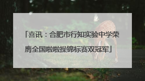 喜讯：合肥市行知实验中学荣膺全国啦啦操锦标赛双冠军
